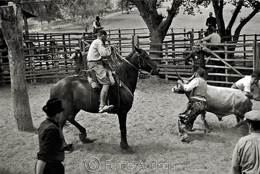 Merca del Bestiame 1935