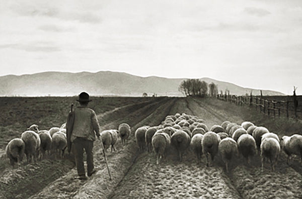 Ritorno all’ Ovile 1933