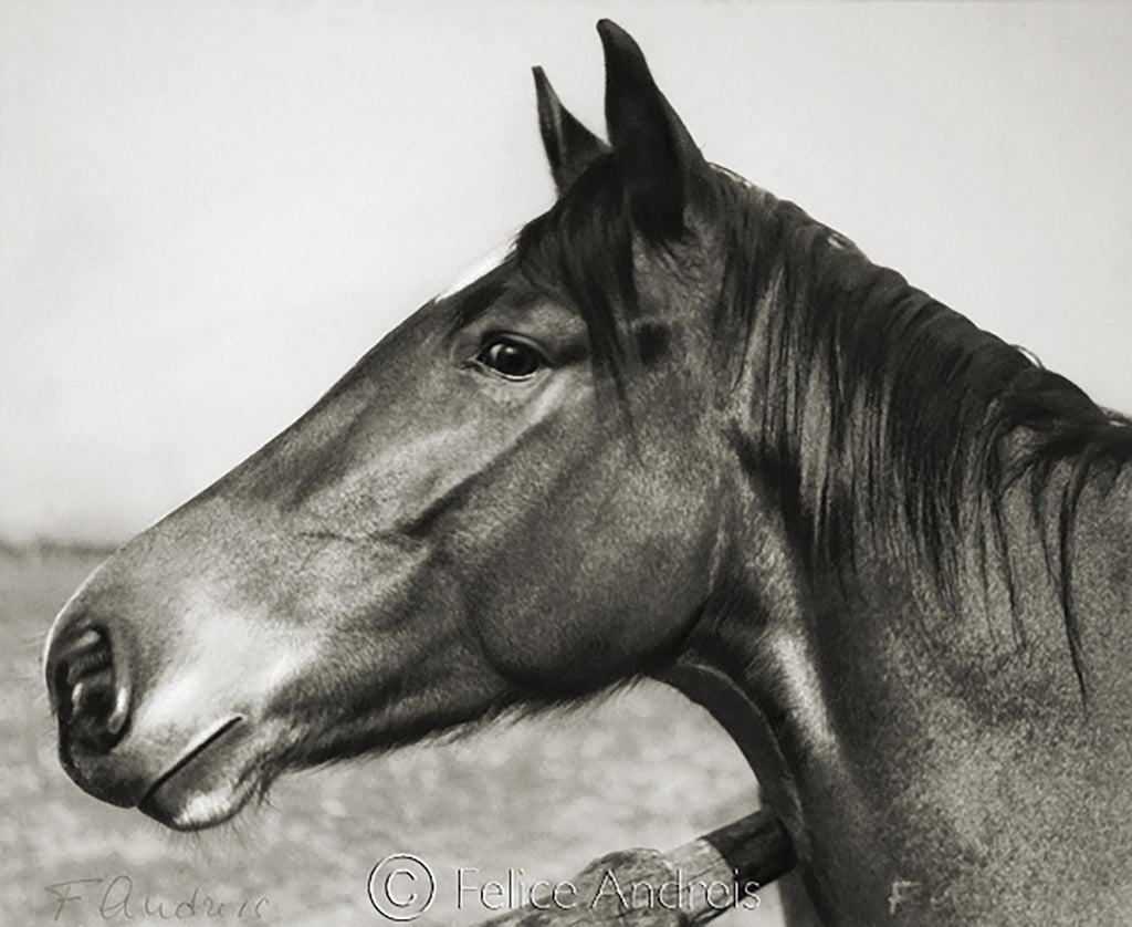 Maremma grossetana, 1936