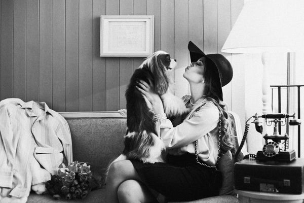 The Morning After The Night Before IV