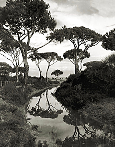 Trebbia a fermo  San Donato, GR  1935