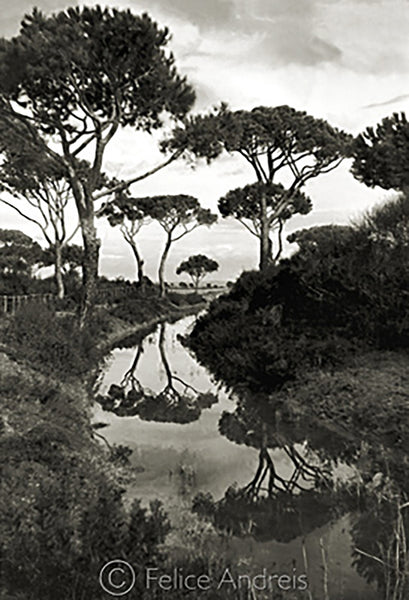 Maremma Tropical, 1935