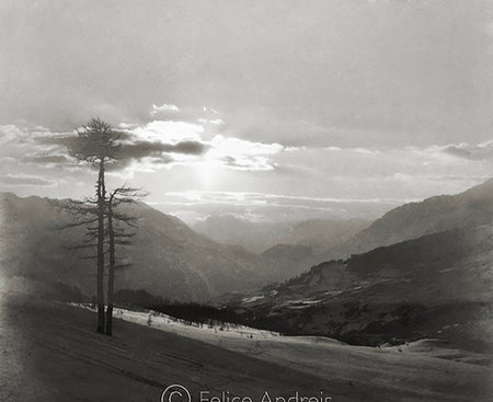 Gruppo dell'Ortler dal Passo dello Stelvio, Trentino Alto Adige  1931