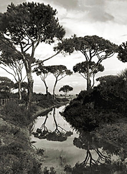 Maremma Tropical. 1935