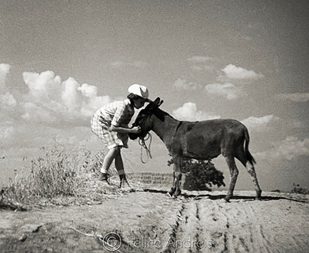 Merca del Bestiame 1935